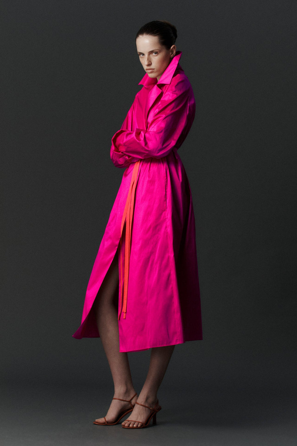 Luminous Trench Dress