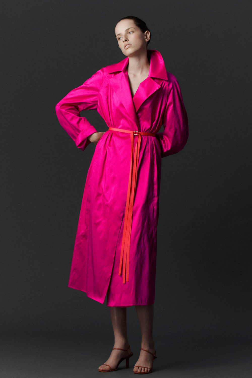 Luminous Trench Dress