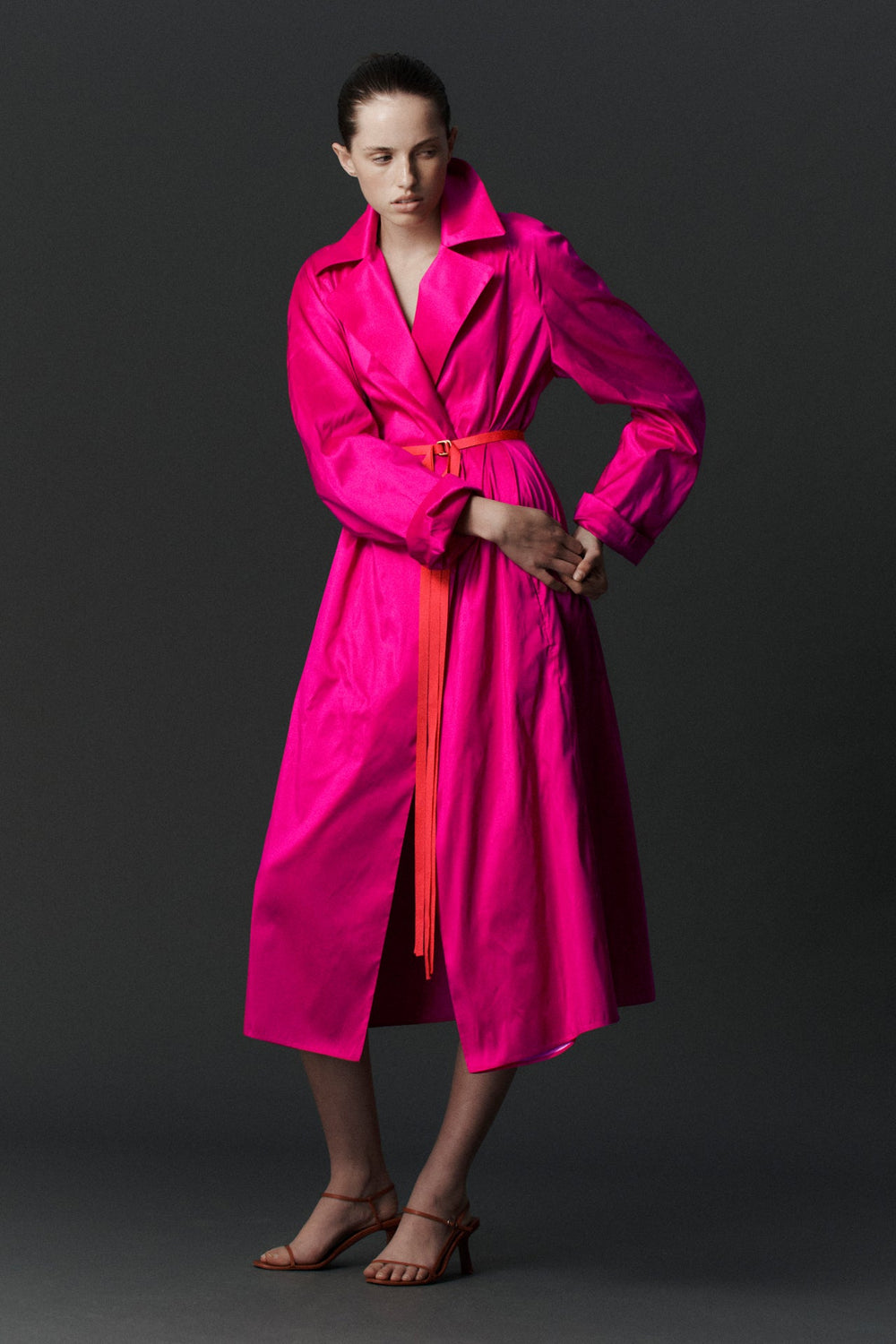 Luminous Trench Dress