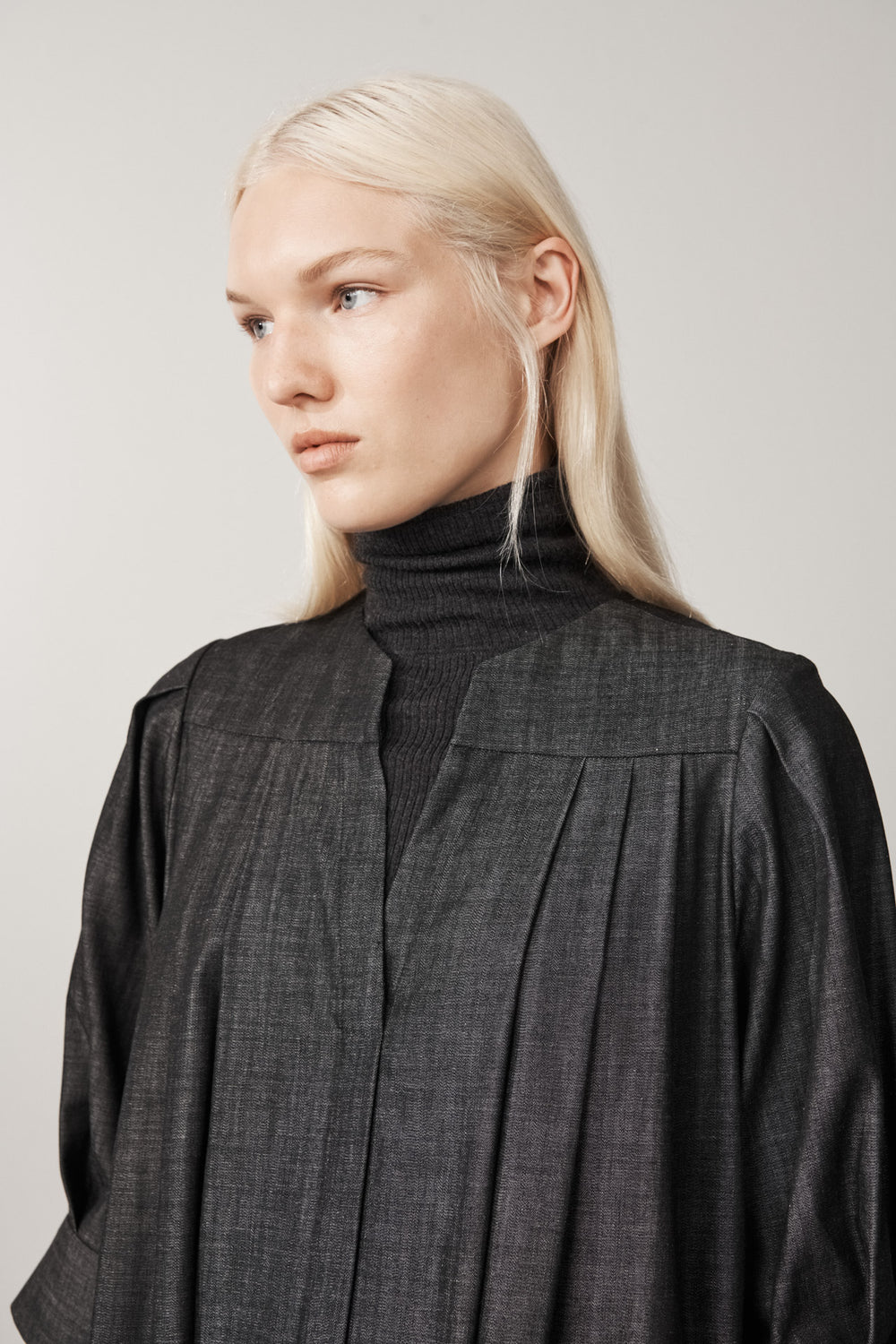 Blackthorn Denim Dress
