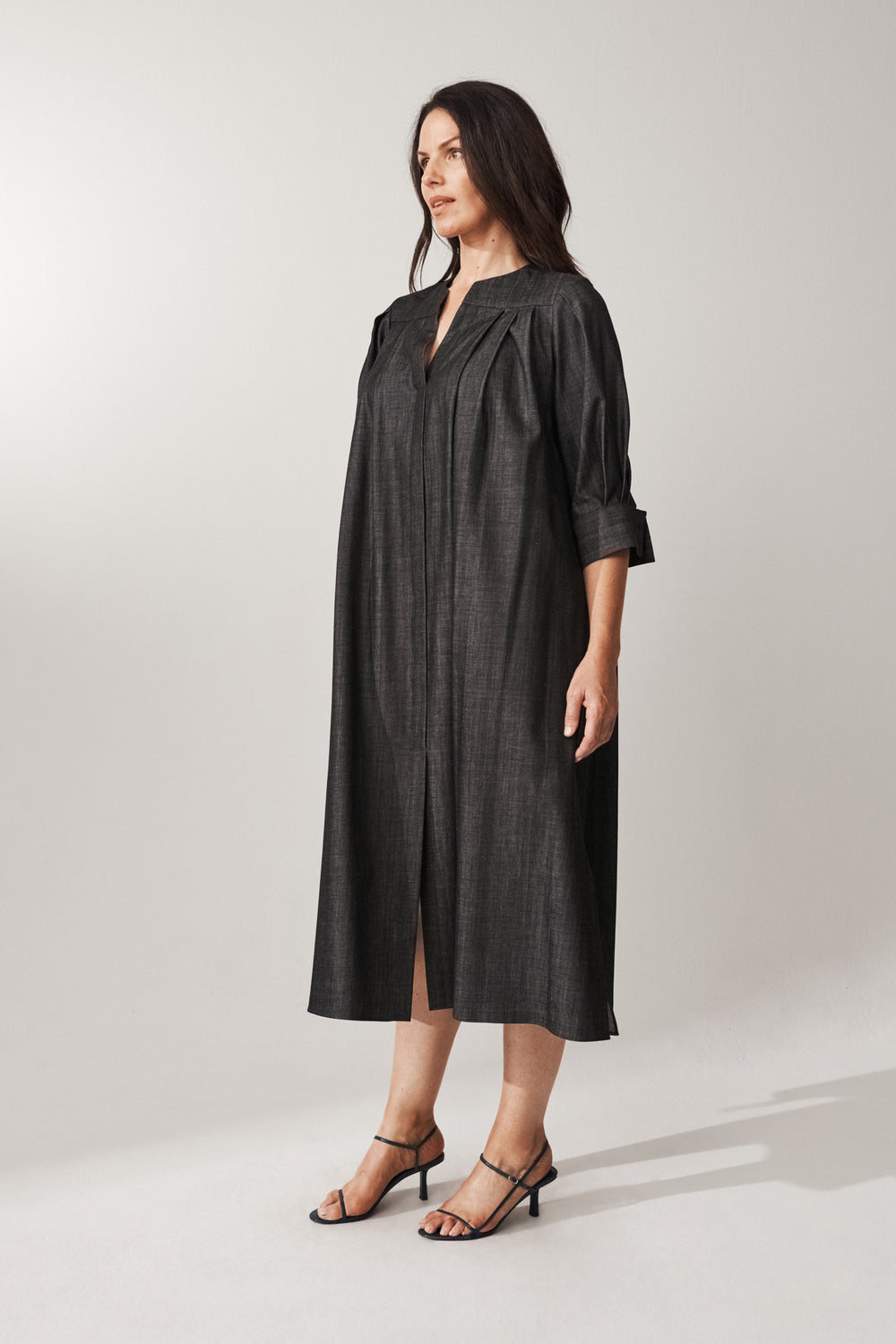 Blackthorn Denim Dress